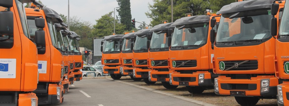 A ladybug standing on some grass